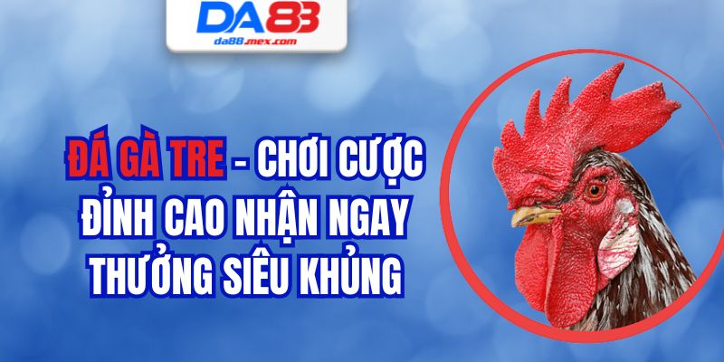 Đá Gà Tre - Chơi Cược Đỉnh Cao Nhận Ngay Thưởng Siêu Khủng